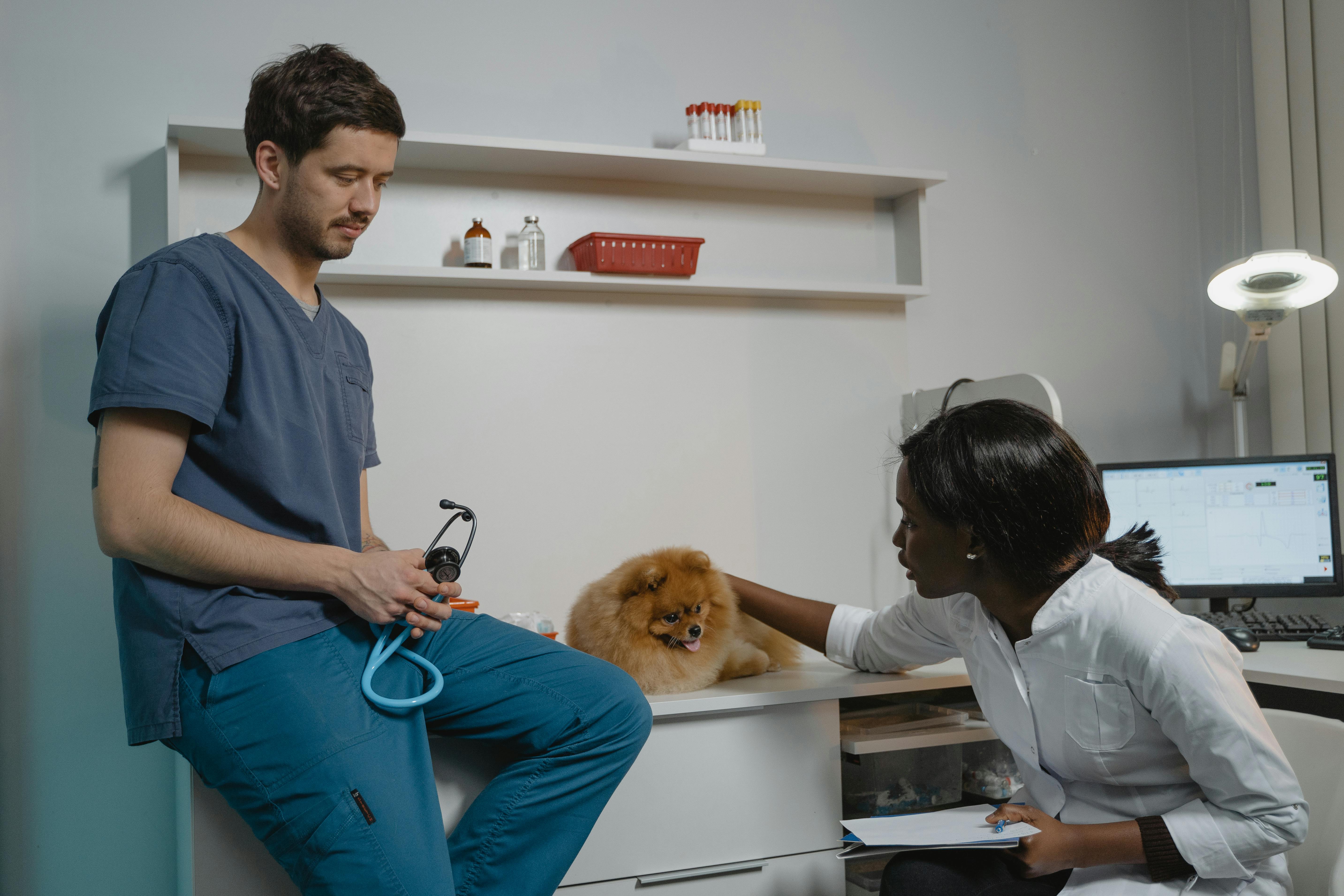 Veterinarias